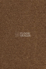 Ковролин AW Vivendi Punch 80 фото 1 | FLOORDEALER